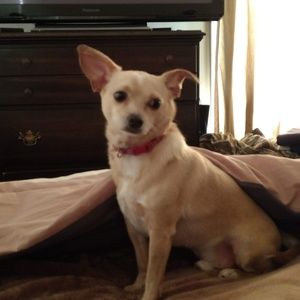 Meet your Posher, Colleen